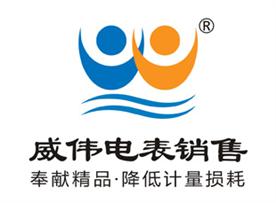 长沙威伟电表销售有限公司Logo