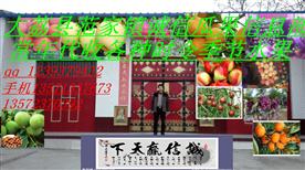 大荔县全红果蔬种植专业合作社Logo