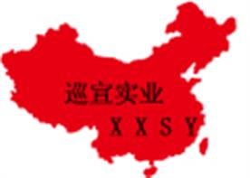 上海巡宣实业有限公司Logo