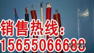 耐酸碱电缆生产厂家 耐酸碱电缆最新价格