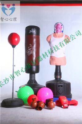 山東心理宣泄器材設(shè)備價(jià)格