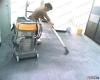 中环卫佳保洁公司承接朝阳区地毯清洗服务