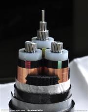 昆明YJLV22-10KV铝芯高压电缆