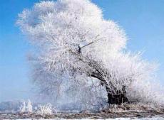 吉林梦幻雾凇岛 最美的冬天
