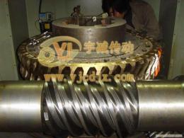 tpa200-50环面包络蜗杆