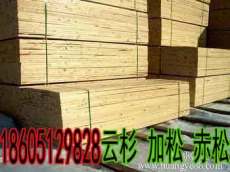 上海品牌云杉板材价格云杉板材质量鸿树木业