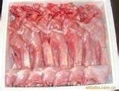 批發(fā)新西蘭兔前腿 兔里脊