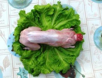 批發(fā)新西蘭兔前腿 兔里脊