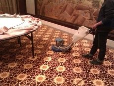 上海盧灣區(qū)魯班路地毯清洗 圖案地毯清洗