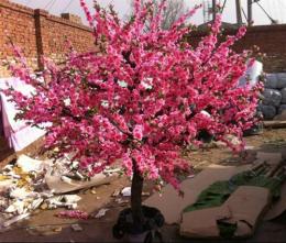 北京仿真樱花树出售
