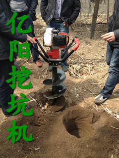 植树挖坑机 供应植树挖坑机图片