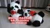 仿真熊猫广告宠物模型熊猫展示道具拍摄标本