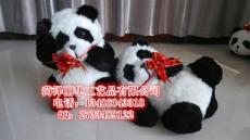 仿真熊貓廣告寵物模型熊貓展示道具拍攝標(biāo)本