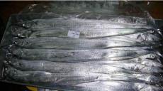 印度A级450-550冷冻带鱼批发