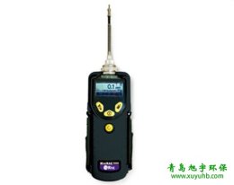 美国华瑞PGM-7340 ppbRAE 3000 VOC一级代理