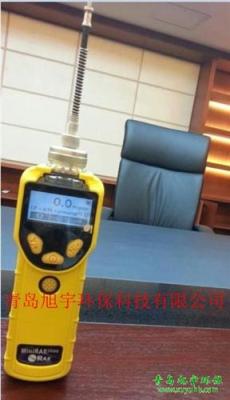 美国华瑞PGM-7320 MiniRAE 3000VOC一级代理