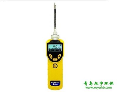 美国华瑞PGM-7320 MiniRAE 3000VOC一级代理