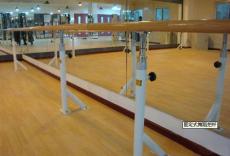 室外健身器材室内健身器材跑步机球架