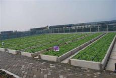 上海屋顶农场阳台菜园城市农业景观