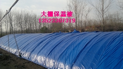 塑料温室大棚建设厂家 温室大棚材料