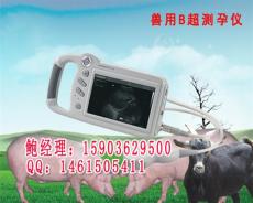 广西柳州母猪用B超机 便携式动物B超多少钱