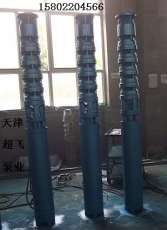 天津市潛水泵廠