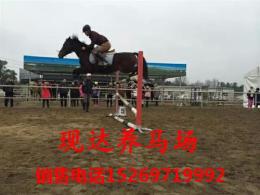 哪里有養(yǎng)馬場