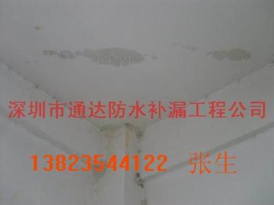 鳳崗防水補(bǔ)漏工程 深圳市公明防水 深圳公明防水公司