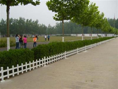 河北PVC草坪护栏 花坛护栏 园林护栏