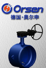 進(jìn)口對焊式硬密封蝶閥