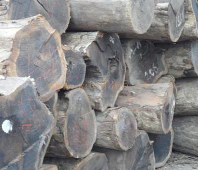 国家林业局华东木材鉴定检测中心木材检测