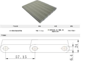 4809-PP塑料网带