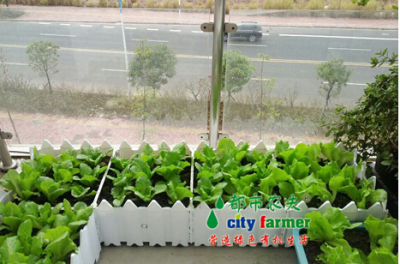 种植槽 自动灌溉系统
