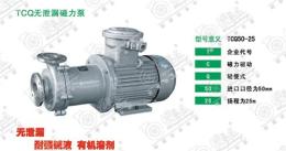 南京皖氟龙TCQ不锈钢无泄漏磁力泵 碱液泵