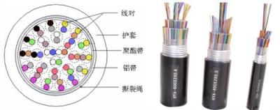 全塑通信电缆HYA