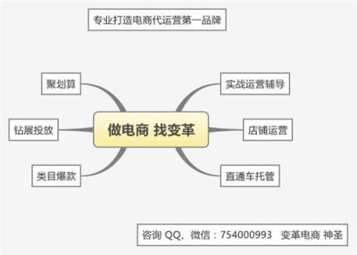 深圳变革电子商务 店铺代运营 直通车托管