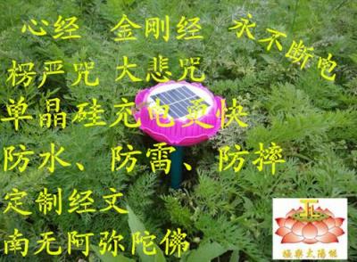 太阳能念佛机厂家 太阳能念佛机价格