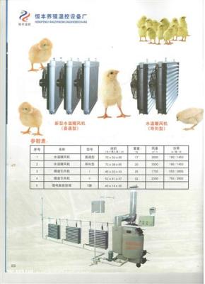 养鸡温控锅炉 鸡舍温控锅炉 育雏温控锅炉