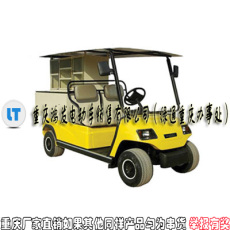 重庆电高尔夫球车 重庆电高尔夫球车价格
