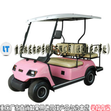 电动高尔夫球车 电动高尔夫球车价格 重庆
